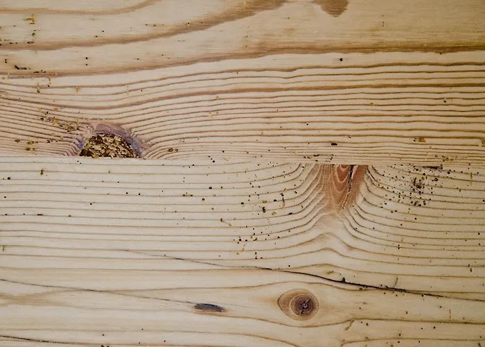 Fortuna 3.5 - Griwarent Ag *